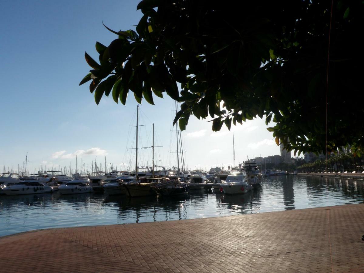 Sanfernando14 Daire Alicante Dış mekan fotoğraf